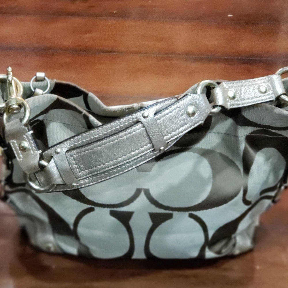 Coach Signature Carly Sateen Bag